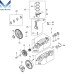 NEW CRANKSHAFT ASSY DIESEL ENGINE D20DT FOR SSANGYONG 2005-11